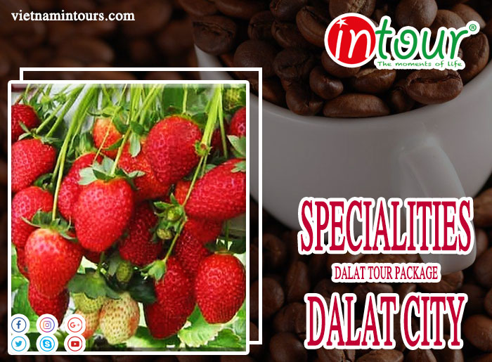 Organic Strawberry Garden or Specialities at Dalat