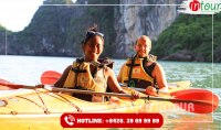 Tour Pelican Luxury Cruise Halong Bay 3 Days 2 Nights (Depart from Hanoi)