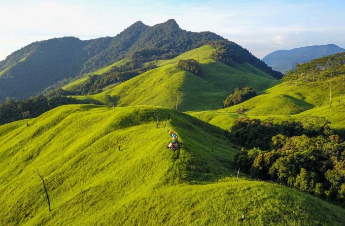 Phuoc Binh National Park Ninh Thuan Vietnam Travel Guide